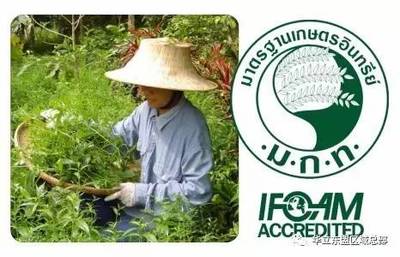 【走进泰国】这座百年宫廷建筑里藏了泰国传统医学的精华--奥派布贝泰医馆发现之旅