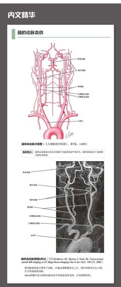 解剖图谱+立体影像,解剖课不再难学!奈特影像解剖学图谱 第2版